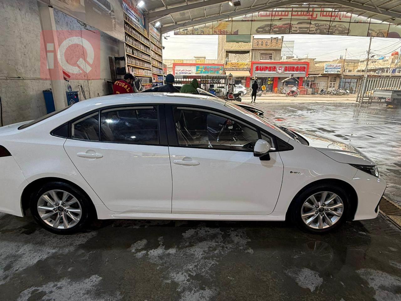 تويوتا كورولا